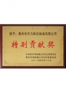 Special Contribution Award