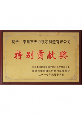 特別貢獻獎